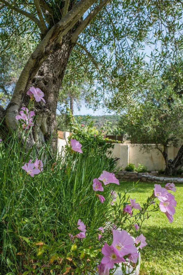 Corfu Villa Linea Línia Exteriér fotografie